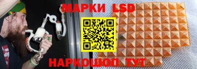 PSILOCYBIN Добрянка